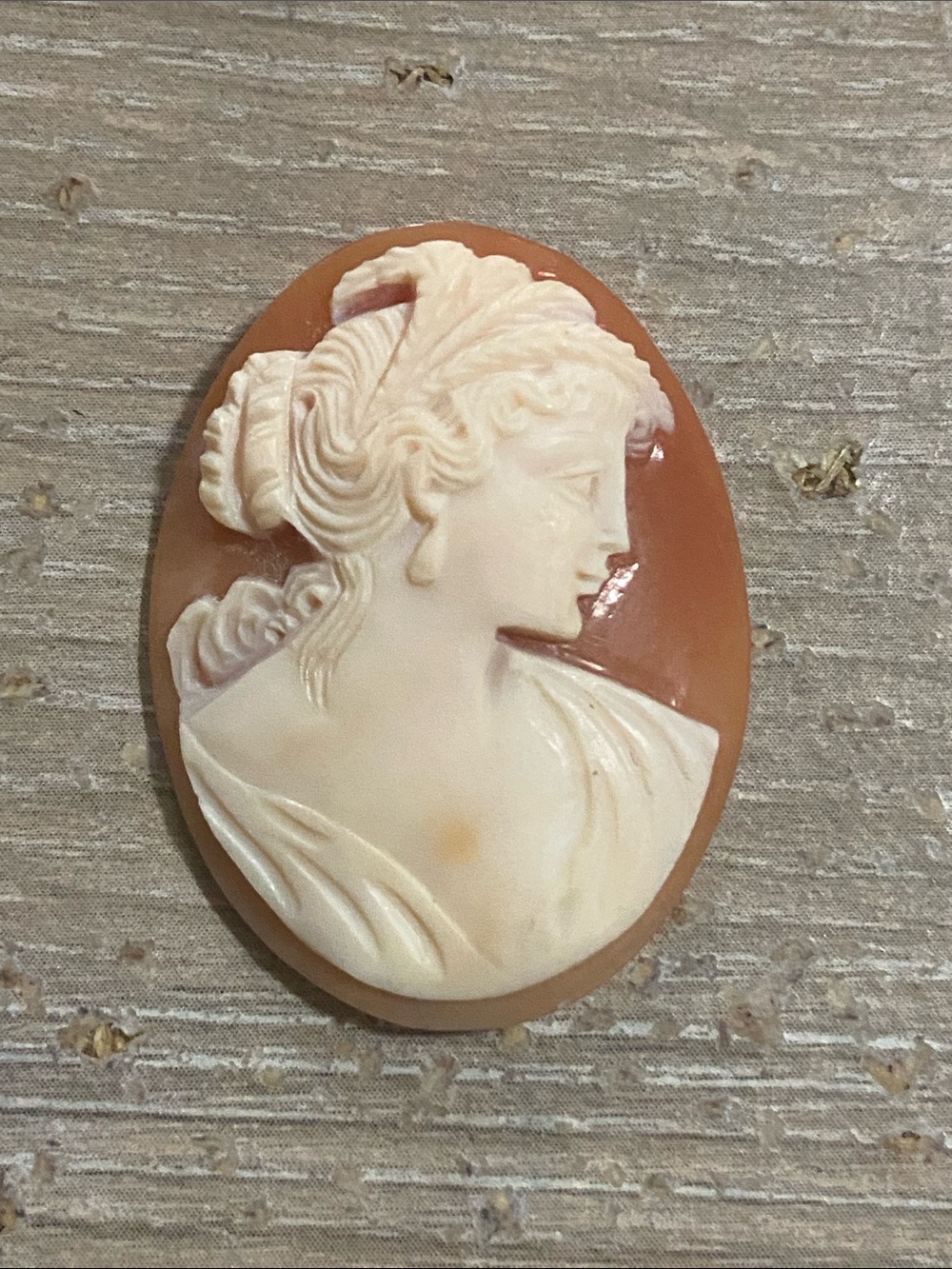 Antique Victorian Carved Loose Shell Cameo Genuine Collectible